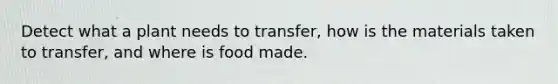 Detect what a plant needs to transfer, how is the materials taken to transfer, and where is food made.