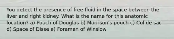 You detect the presence of free fluid in the space between the liver and right kidney. What is the name for this anatomic location? a) Pouch of Douglas b) Morrison's pouch c) Cul de sac d) Space of Disse e) Foramen of Winslow