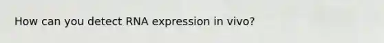 How can you detect RNA expression in vivo?