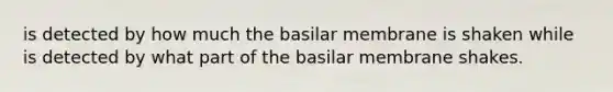 is detected by how much the basilar membrane is shaken while is detected by what part of the basilar membrane shakes.​