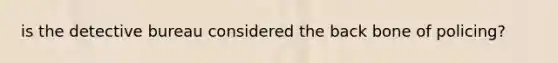 is the detective bureau considered the back bone of policing?