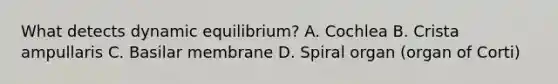 What detects dynamic equilibrium? A. Cochlea B. Crista ampullaris C. Basilar membrane D. Spiral organ (organ of Corti)