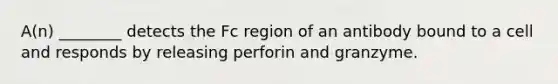 A(n) ________ detects the Fc region of an antibody bound to a cell and responds by releasing perforin and granzyme.