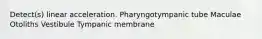 Detect(s) linear acceleration. Pharyngotympanic tube Maculae Otoliths Vestibule Tympanic membrane
