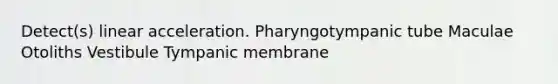 Detect(s) linear acceleration. Pharyngotympanic tube Maculae Otoliths Vestibule Tympanic membrane