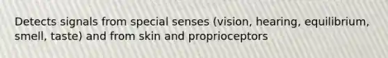 Detects signals from special senses (vision, hearing, equilibrium, smell, taste) and from skin and proprioceptors