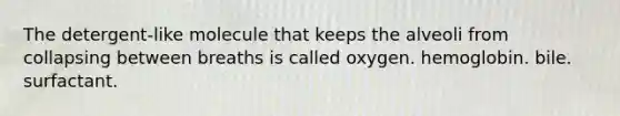 The detergent-like molecule that keeps the alveoli from collapsing between breaths is called oxygen. hemoglobin. bile. surfactant.