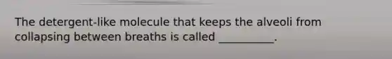 The detergent-like molecule that keeps the alveoli from collapsing between breaths is called __________.