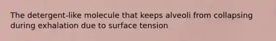 The detergent-like molecule that keeps alveoli from collapsing during exhalation due to surface tension