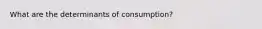 What are the determinants of consumption?