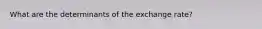 What are the determinants of the exchange rate?