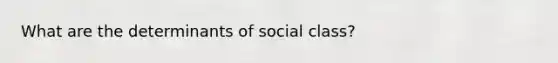 What are the determinants of social class?