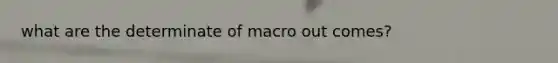 what are the determinate of macro out comes?