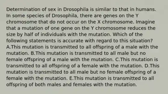 Determination of sex in Drosophila is similar to that in humans. In some species of Drosophila, there are genes on the Y chromosome that do not occur on the X chromosome. Imagine that a mutation of one gene on the Y chromosome reduces the size by half of individuals with the mutation. Which of the following statements is accurate with regard to this situation? A.This mutation is transmitted to all offspring of a male with the mutation. B.This mutation is transmitted to all male but no female offspring of a male with the mutation. C.This mutation is transmitted to all offspring of a female with the mutation. D.This mutation is transmitted to all male but no female offspring of a female with the mutation. E.This mutation is transmitted to all offspring of both males and females with the mutation.