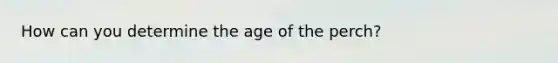 How can you determine the age of the perch?