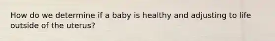 How do we determine if a baby is healthy and adjusting to life outside of the uterus?