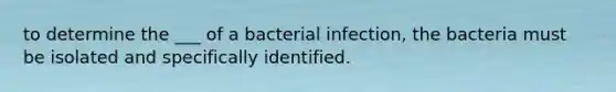 to determine the ___ of a bacterial infection, the bacteria must be isolated and specifically identified.