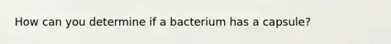 How can you determine if a bacterium has a capsule?