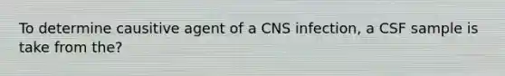 To determine causitive agent of a CNS infection, a CSF sample is take from the?