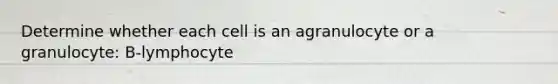 Determine whether each cell is an agranulocyte or a granulocyte: B-lymphocyte