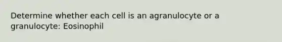 Determine whether each cell is an agranulocyte or a granulocyte: Eosinophil