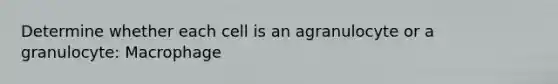 Determine whether each cell is an agranulocyte or a granulocyte: Macrophage