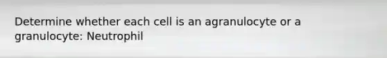 Determine whether each cell is an agranulocyte or a granulocyte: Neutrophil