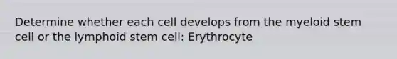 Determine whether each cell develops from the myeloid stem cell or the lymphoid stem cell: Erythrocyte