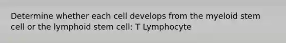 Determine whether each cell develops from the myeloid stem cell or the lymphoid stem cell: T Lymphocyte