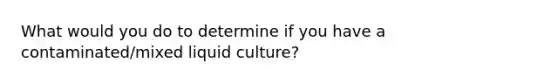 What would you do to determine if you have a contaminated/mixed liquid culture?