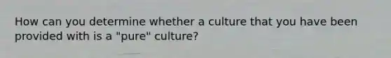 How can you determine whether a culture that you have been provided with is a "pure" culture?‭