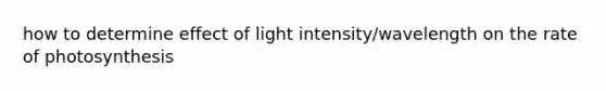 how to determine effect of light intensity/wavelength on the rate of photosynthesis