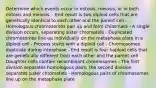 Determine which events occur in mitosis, meiosis, or in both mitosis and meiosis. - End result is two diploid cells that are genetically identical to each other and the parent cell - Homologous chromosomes pair up and form chiasmata - A single division occurs, separating sister chromatids - Duplicated chromosomes line up individually on the metaphase plate in a diploid cell - Process starts with a diploid cell - Chromosomes duplicate during interphase - End result is four haploid cells that are genetically different from each other and the parent cell - Daughter cells contain recombinant chromosomes - The first division separates homologous pairs; the second division separates sister chromatids - Homologous pairs of chromosomes line up on the metaphase plate