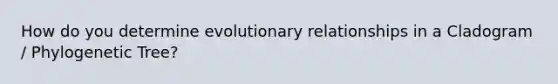 How do you determine evolutionary relationships in a Cladogram / Phylogenetic Tree?