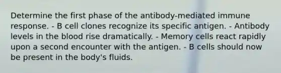 Determine the first phase of the antibody-mediated immune response. - B cell clones recognize its specific antigen. - Antibody levels in the blood rise dramatically. - Memory cells react rapidly upon a second encounter with the antigen. - B cells should now be present in the body's fluids.