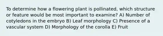 To determine how a flowering plant is pollinated, which structure or feature would be most important to examine? A) Number of cotyledons in the embryo B) Leaf morphology C) Presence of a vascular system D) Morphology of the corolla E) Fruit