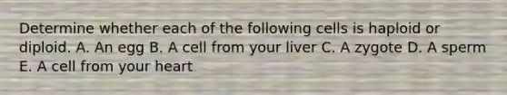 Determine whether each of the following cells is haploid or diploid. A. An egg B. A cell from your liver C. A zygote D. A sperm E. A cell from your heart