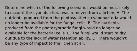 Determine which of the following scenarios would be most likely to occur if the cyanobacteria was removed from a lichen. A. The nutrients produced from the photosynthetic cyanobacteria would no longer be available for the fungal cells. B. The nutrients produced from the photosynthetic fungi would no longer be available for the bacterial cells. C. The fungi would start to dry out due to the lack of water retention ability. D. There wouldn't be any type of impact to the lichen at all.