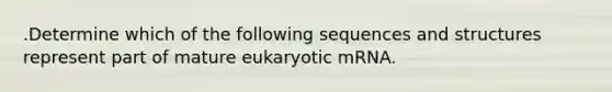 .Determine which of the following sequences and structures represent part of mature eukaryotic mRNA.