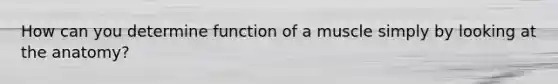 How can you determine function of a muscle simply by looking at the anatomy?