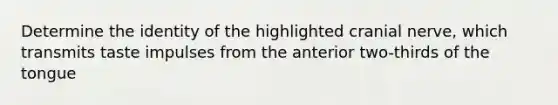 Determine the identity of the highlighted cranial nerve, which transmits taste impulses from the anterior two-thirds of the tongue