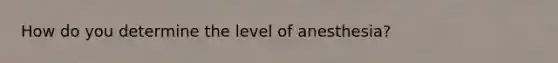 How do you determine the level of anesthesia?