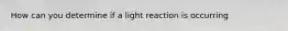 How can you determine if a light reaction is occurring