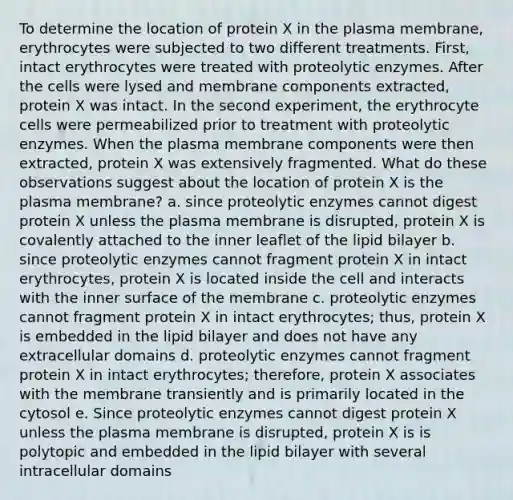 To determine the location of protein X in the plasma membrane, erythrocytes were subjected to two different treatments. First, intact erythrocytes were treated with proteolytic enzymes. After the cells were lysed and membrane components extracted, protein X was intact. In the second experiment, the erythrocyte cells were permeabilized prior to treatment with proteolytic enzymes. When the plasma membrane components were then extracted, protein X was extensively fragmented. What do these observations suggest about the location of protein X is the plasma membrane? a. since proteolytic enzymes cannot digest protein X unless the plasma membrane is disrupted, protein X is covalently attached to the inner leaflet of the lipid bilayer b. since proteolytic enzymes cannot fragment protein X in intact erythrocytes, protein X is located inside the cell and interacts with the inner surface of the membrane c. proteolytic enzymes cannot fragment protein X in intact erythrocytes; thus, protein X is embedded in the lipid bilayer and does not have any extracellular domains d. proteolytic enzymes cannot fragment protein X in intact erythrocytes; therefore, protein X associates with the membrane transiently and is primarily located in the cytosol e. Since proteolytic enzymes cannot digest protein X unless the plasma membrane is disrupted, protein X is is polytopic and embedded in the lipid bilayer with several intracellular domains