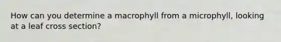 How can you determine a macrophyll from a microphyll, looking at a leaf cross section?