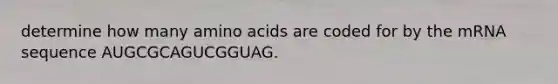 determine how many <a href='https://www.questionai.com/knowledge/k9gb720LCl-amino-acids' class='anchor-knowledge'>amino acids</a> are coded for by the mRNA sequence AUGCGCAGUCGGUAG.