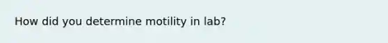 How did you determine motility in lab?