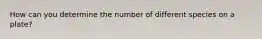How can you determine the number of different species on a plate?