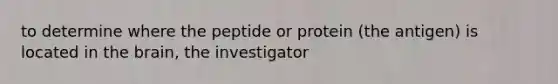 to determine where the peptide or protein (the antigen) is located in the brain, the investigator