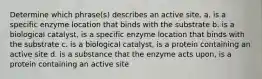 Determine which phrase(s) describes an active site. a. is a specific enzyme location that binds with the substrate b. is a biological catalyst, is a specific enzyme location that binds with the substrate c. is a biological catalyst, is a protein containing an active site d. is a substance that the enzyme acts upon, is a protein containing an active site